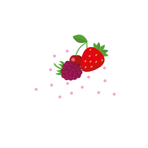 Confeito de Frutas