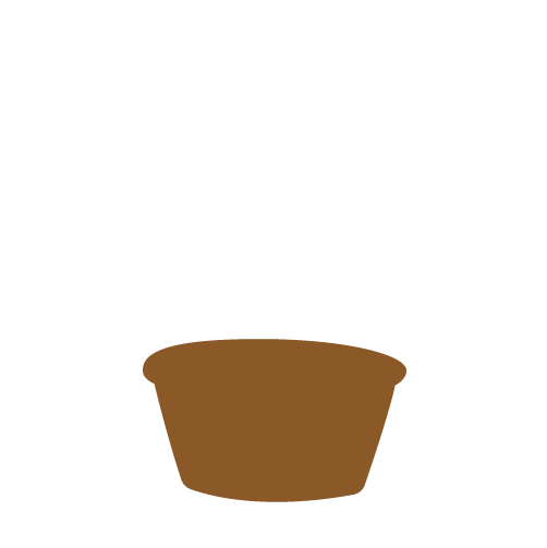 Massa de Chocolate